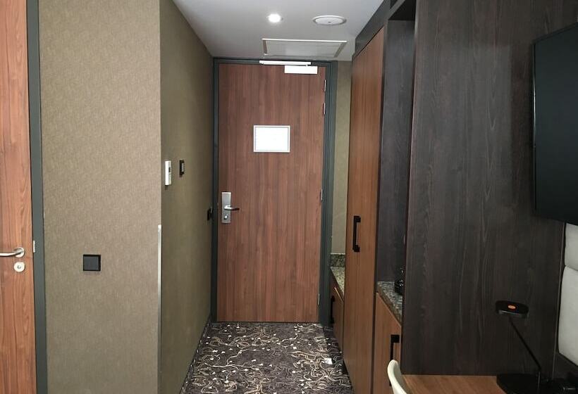 Habitació Estàndard, Levell