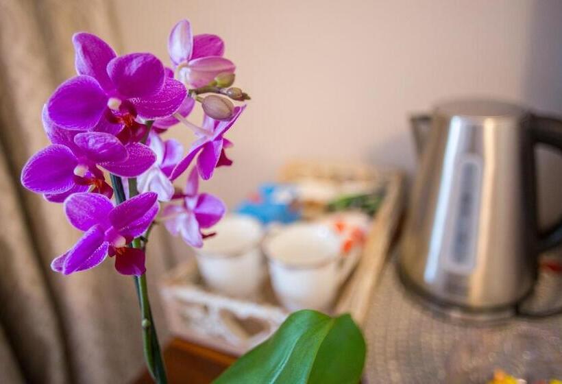 デラックスルーム, La Vida Luka Luxury Guesthouse