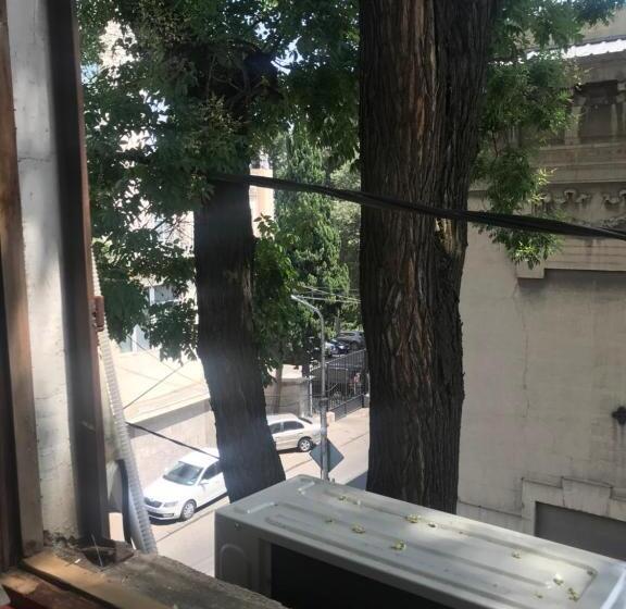 اتاق استاندارد یک تخته با سرویس بهداشتی مشترک, Le Petit