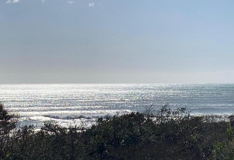 オーシャンビュースタンダードルーム, South Bird Inn