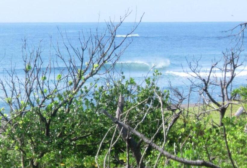 景色の見えるスタンダード４人部屋, South Bird Inn