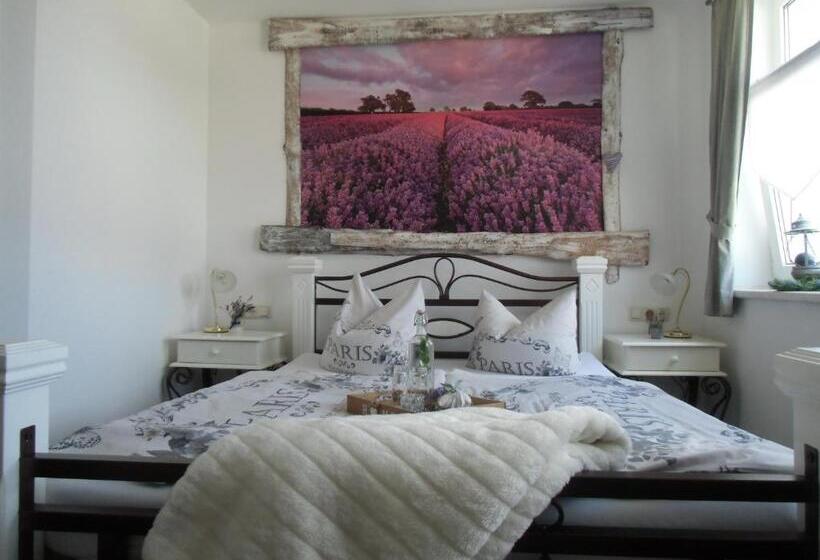 스탠다드 룸, Trendtino