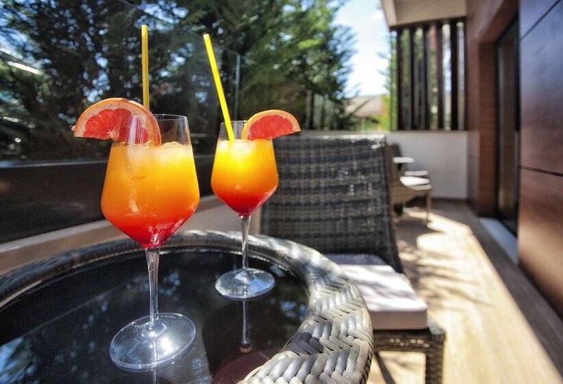 سوئیت 2 خوابه, Wellness & Spa Hotel Acd