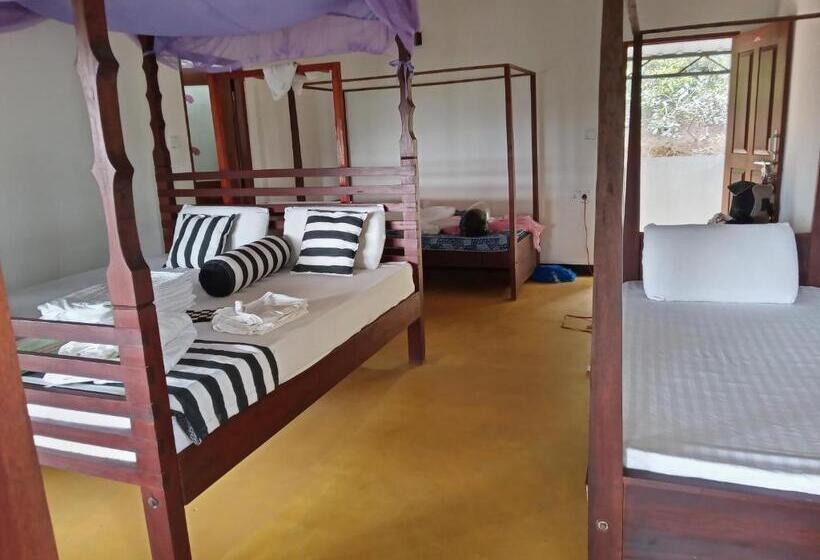 Pokój Rodzinny, Shalomi Nine Arch Bliss