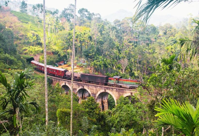 Pokój Rodzinny, Shalomi Nine Arch Bliss