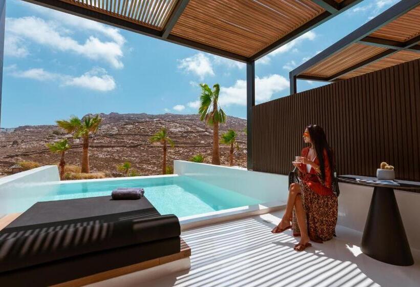 Полулюкс с Бассейном, Ftelia Black Villas