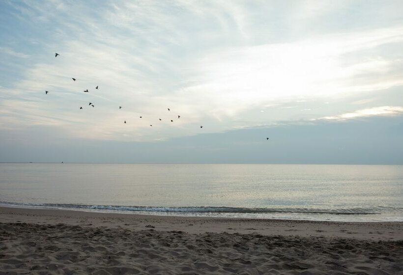 コンフォートトリプルルーム, Adria Beach