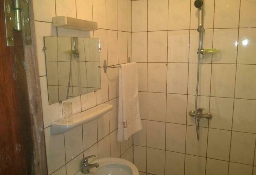 اتاق استاندارد, First International Inn Downtown