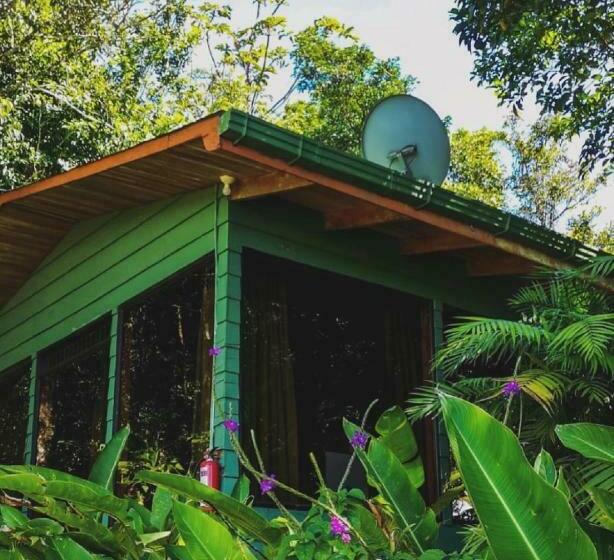 اتاق استاندارد, Flor De Bromelia