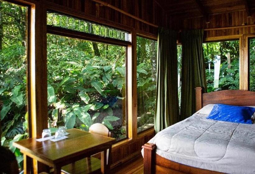 اتاق استاندارد, Flor De Bromelia