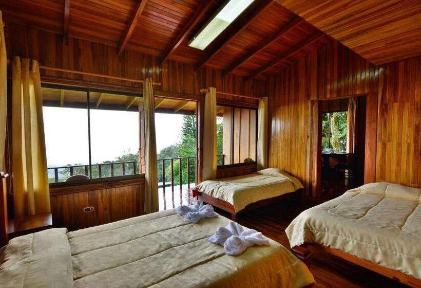 اتاق استاندارد, Flor De Bromelia