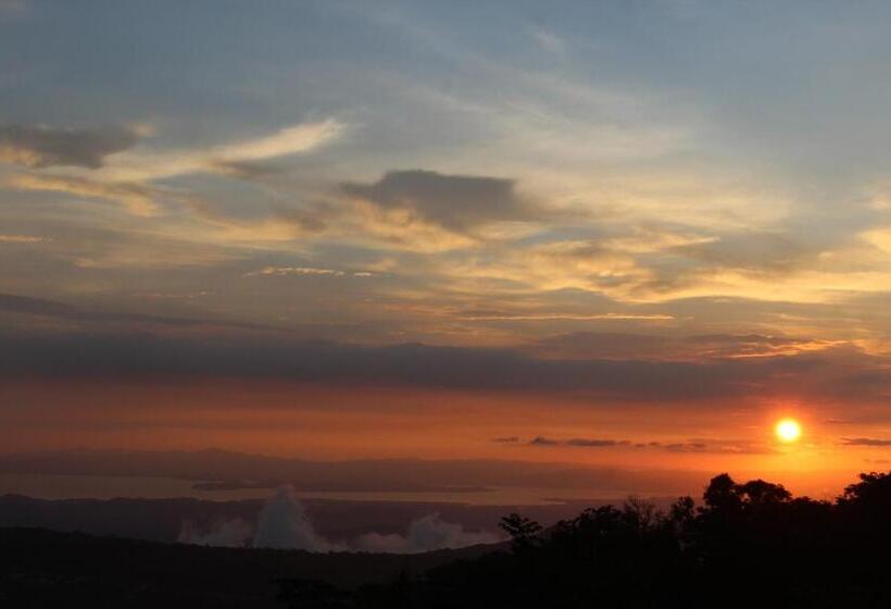 اتاق استاندارد, Flor De Bromelia