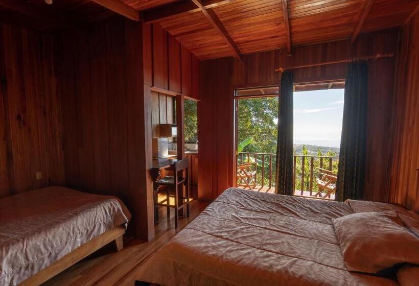 اتاق استاندارد, Flor De Bromelia