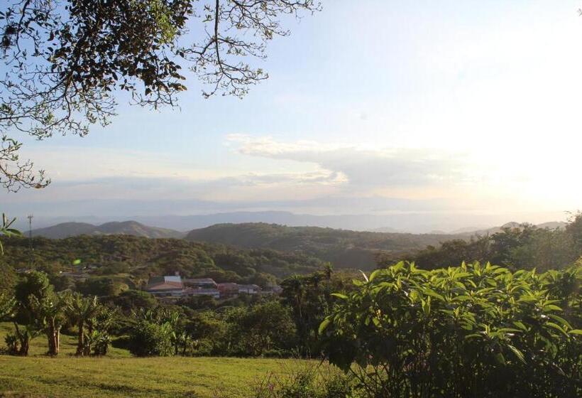 اتاق استاندارد, Flor De Bromelia