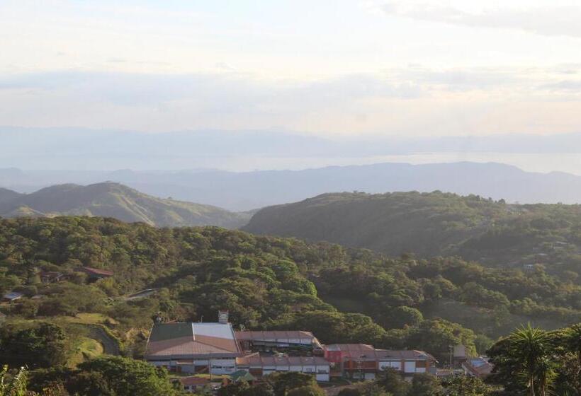 اتاق استاندارد, Flor De Bromelia