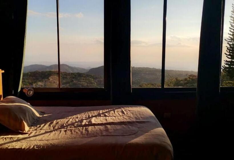 اتاق استاندارد, Flor De Bromelia