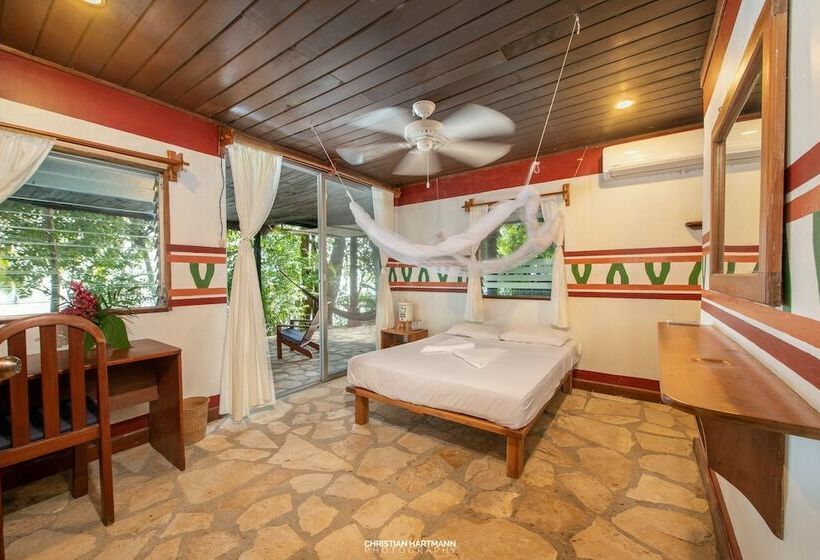 اتاق استاندارد, Gringo Perdido