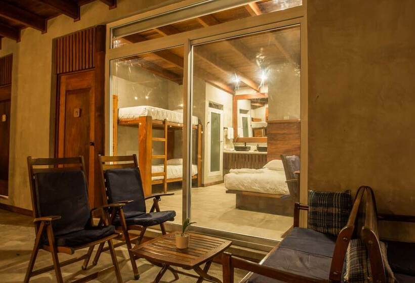 اتاق استاندارد چهار تخته, Gringo Perdido