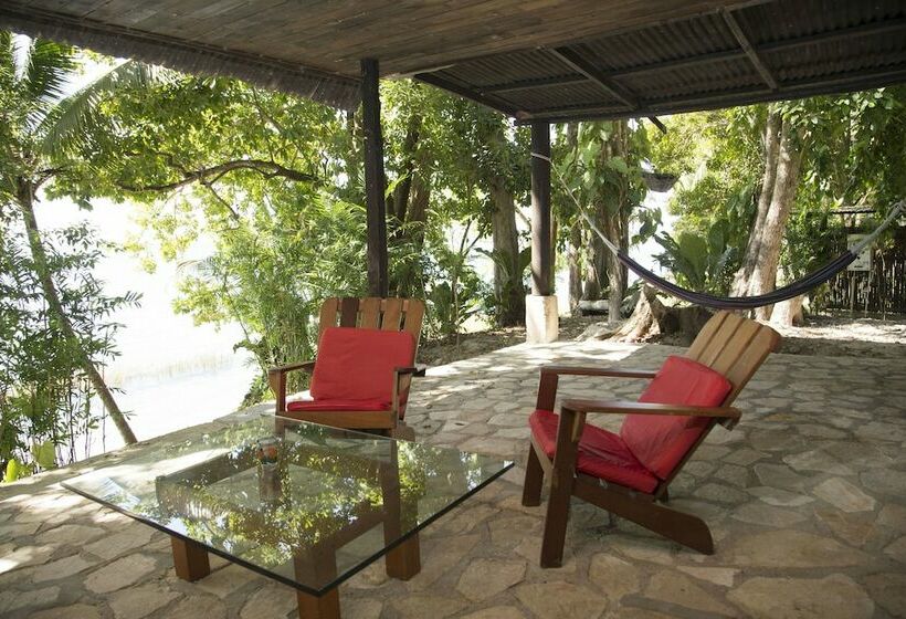 اتاق استاندارد, Gringo Perdido