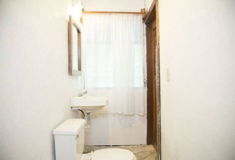 اتاق استاندارد, Gringo Perdido