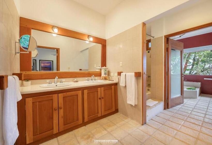 اتاق خانوادگی, Gringo Perdido