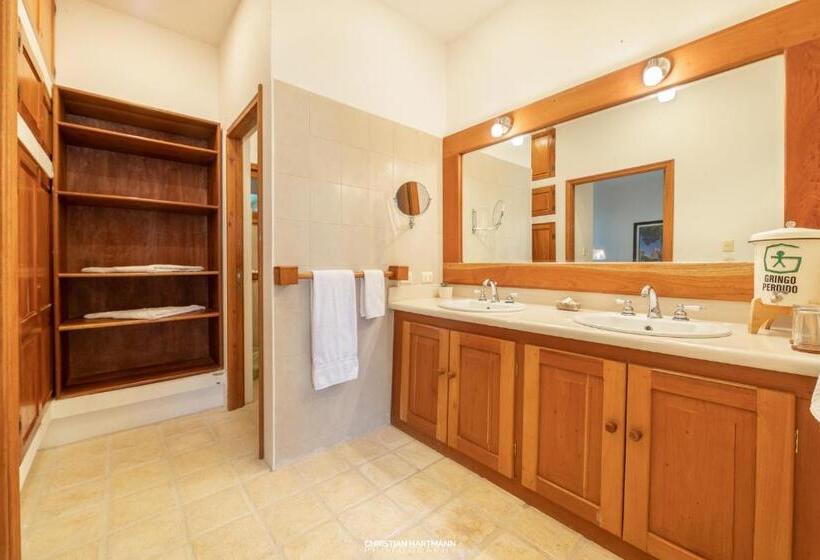 اتاق خانوادگی, Gringo Perdido