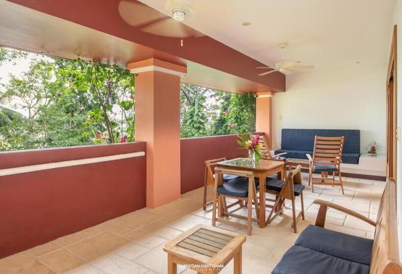 اتاق خانوادگی, Gringo Perdido