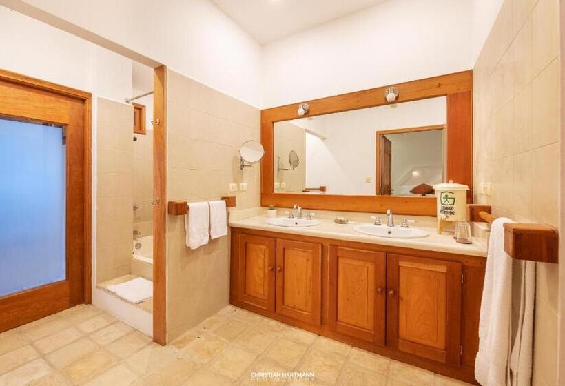 اتاق استاندارد با تخت بزرگ, Gringo Perdido