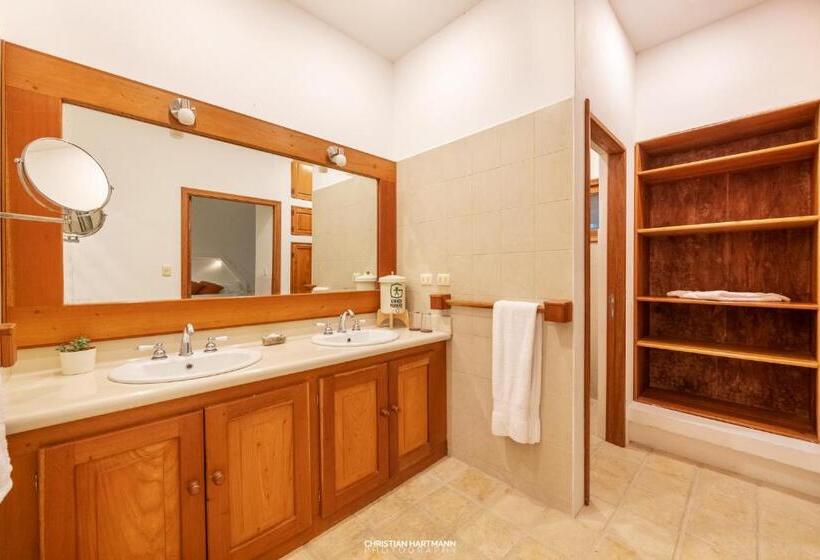 اتاق استاندارد با تخت بزرگ, Gringo Perdido