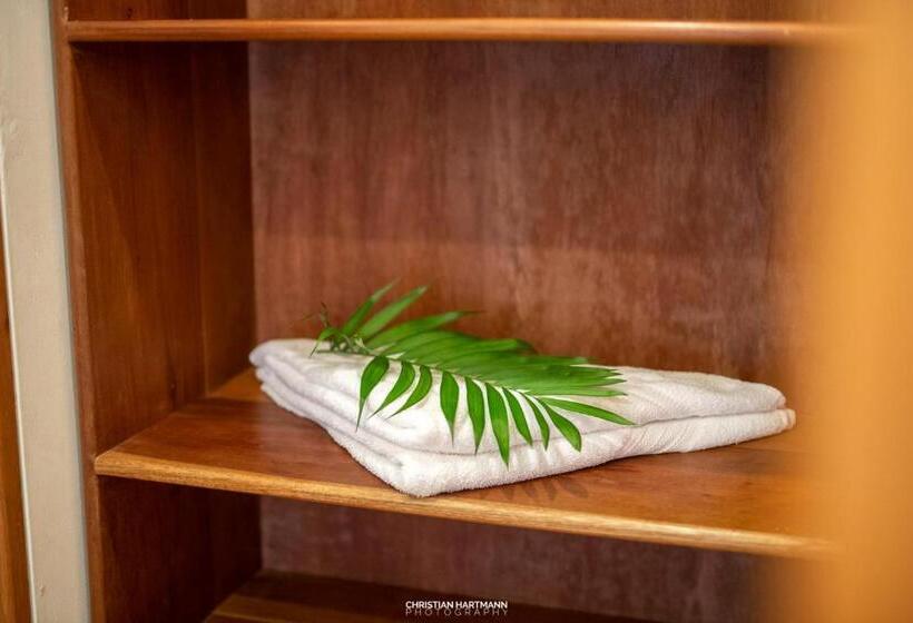 اتاق استاندارد با تخت بزرگ, Gringo Perdido