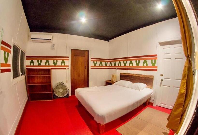 اتاق استاندارد, Gringo Perdido