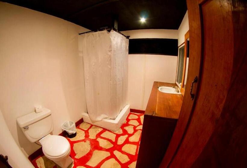 اتاق استاندارد, Gringo Perdido