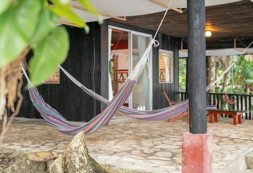 اتاق استاندارد, Gringo Perdido