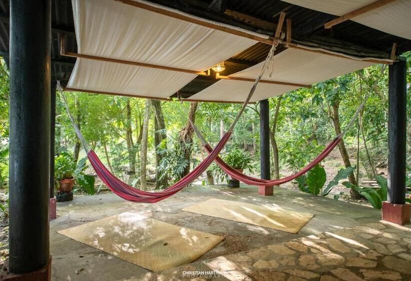 اتاق استاندارد, Gringo Perdido