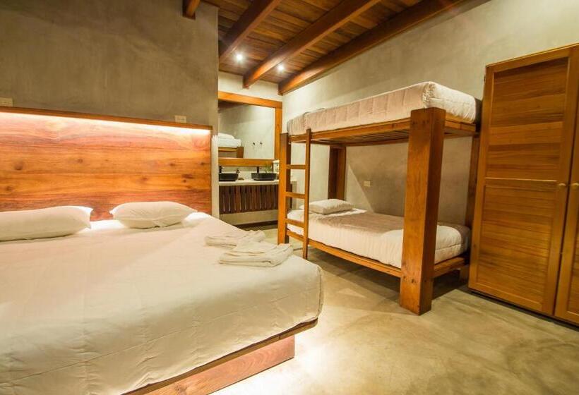 اتاق استاندارد چهار تخته, Gringo Perdido