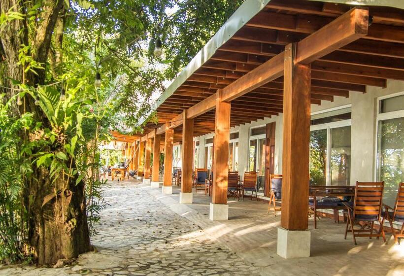 اتاق استاندارد چهار تخته, Gringo Perdido