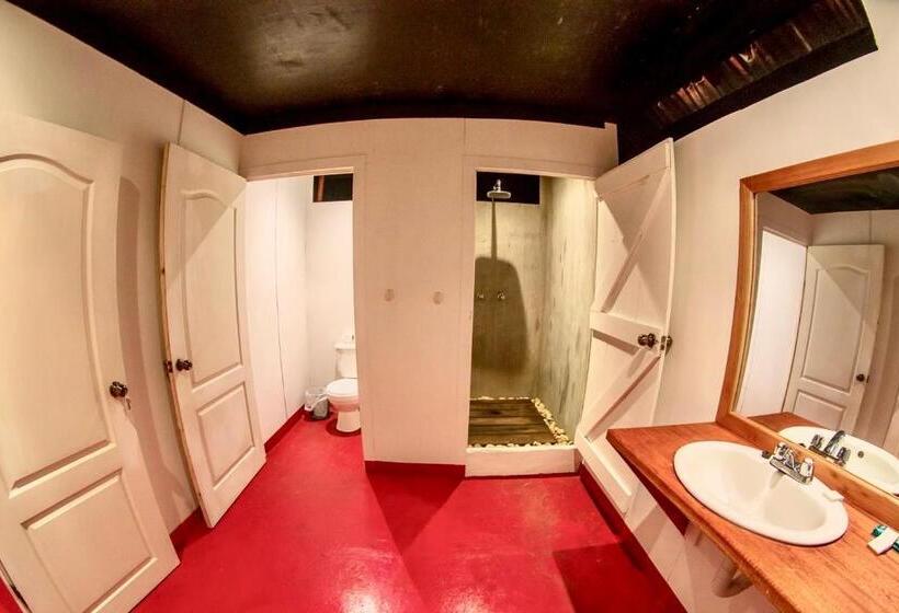 اتاق کلاسیک چهارنفره, Gringo Perdido