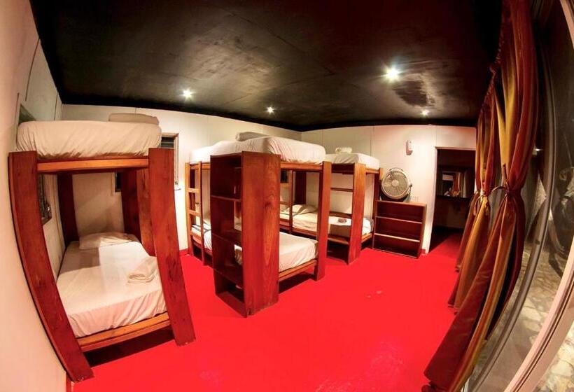 اتاق کلاسیک چهارنفره, Gringo Perdido