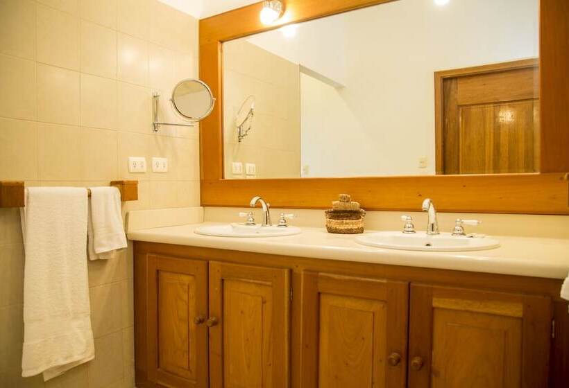 اتاق استاندارد با تخت بزرگ, Gringo Perdido