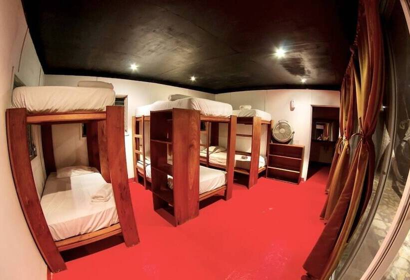 اتاق استاندارد چهار تخته, Gringo Perdido