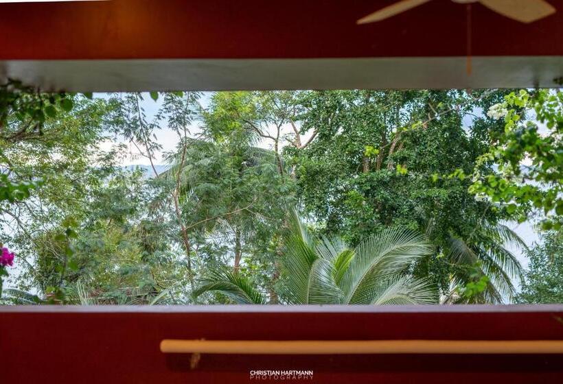 اتاق استاندارد با تخت بزرگ, Gringo Perdido