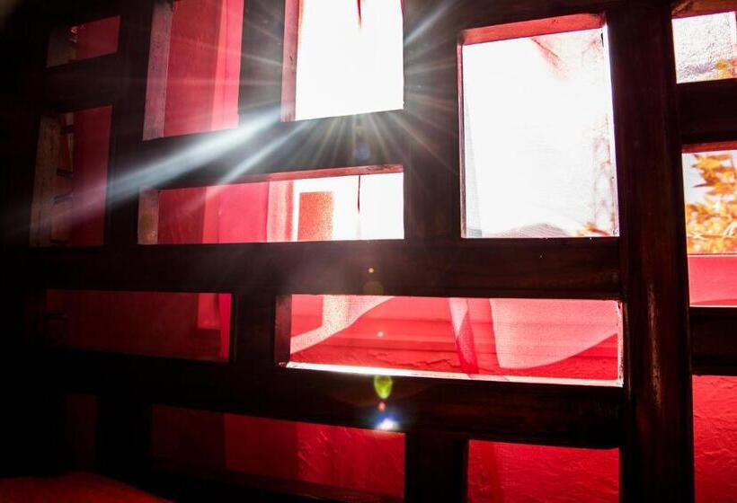 اتاق استاندارد, Crazy Lounge B&b