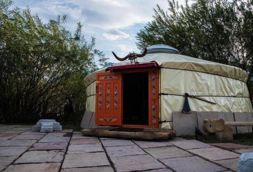 패밀리 룸, Crazy Lounge B&b