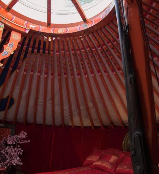 اتاق خانوادگی, Crazy Lounge B&b