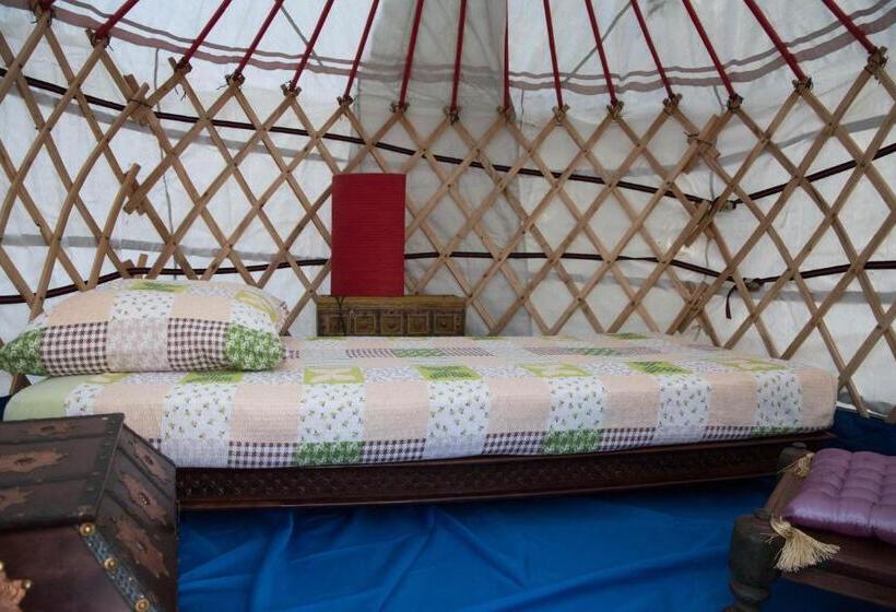 اتاق خانوادگی, Crazy Lounge B&b