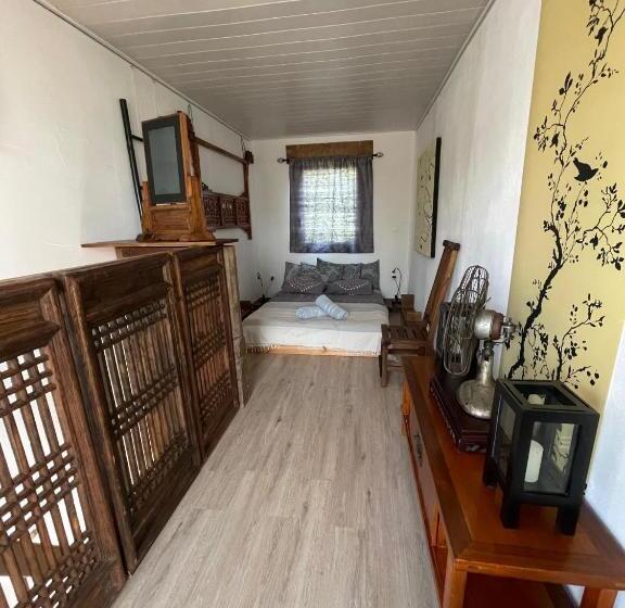 스탠다드 방갈로, Crazy Lounge B&b