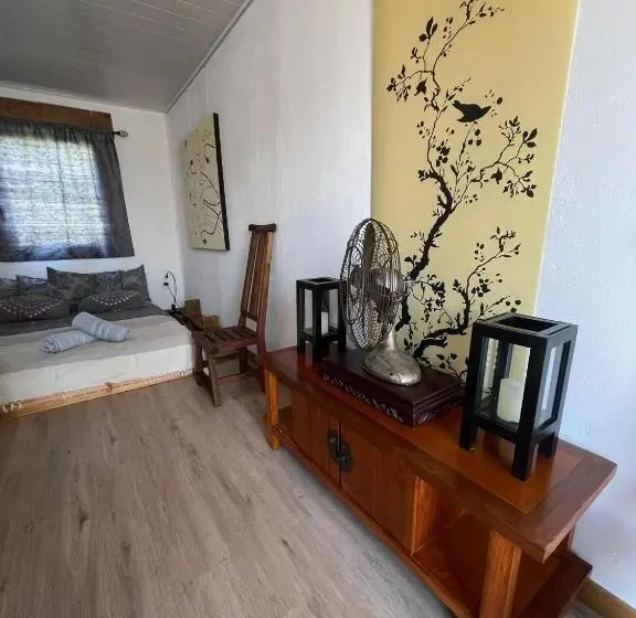 スタンダードバンガロー, Crazy Lounge B&b