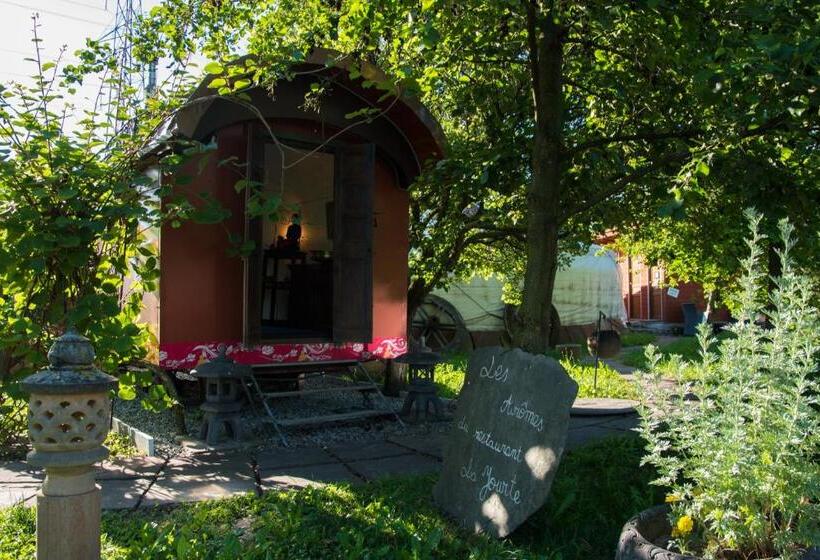 스탠다드 룸, Crazy Lounge B&b