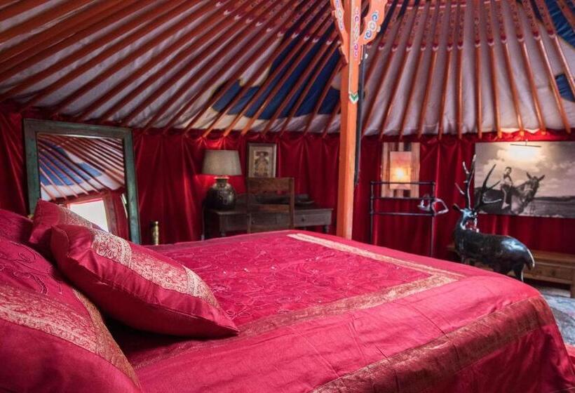 패밀리 룸, Crazy Lounge B&b