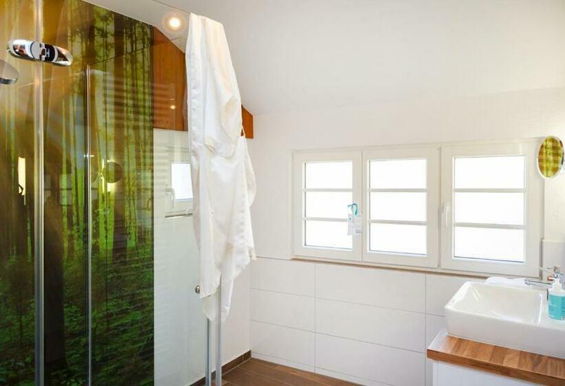 Habitación Estàndard Individual, Alte Schule